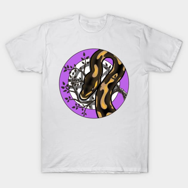 Royal Python Normal morph T-Shirt by CelticDragoness